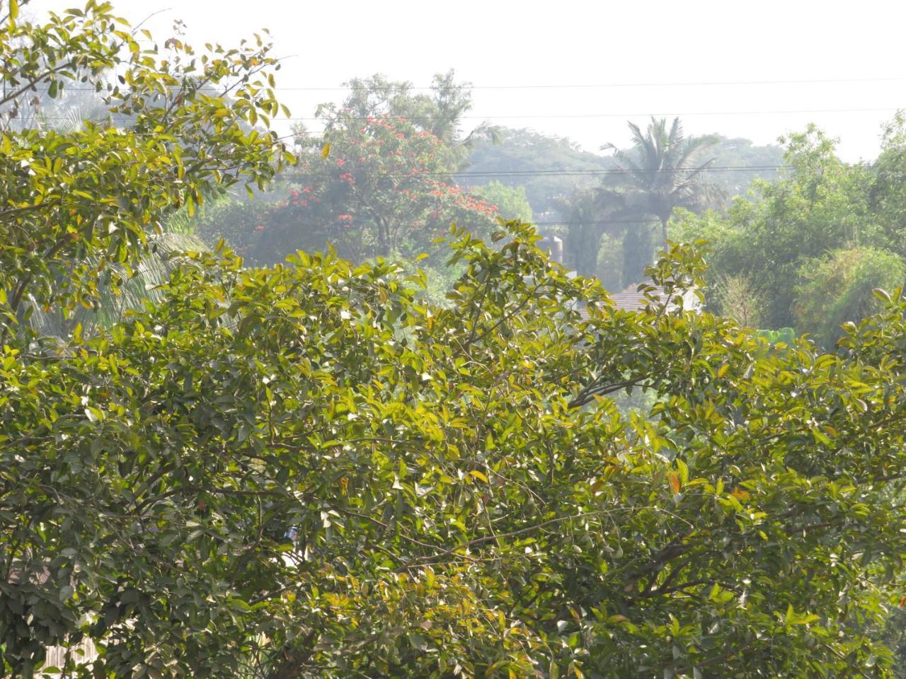 City Palace Resort Lonavala Extérieur photo